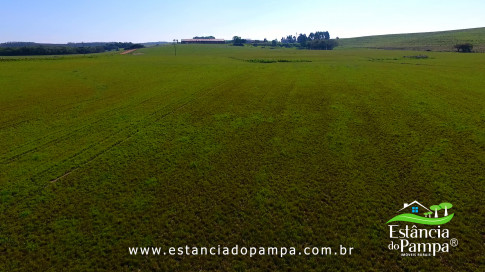 DOS EÓLICOS VIRA P FAZENDA_Moment.00_02_27_12.Quadro189_24c2c79bfcffcede862d8a03163dedee60fe75d3.jpg